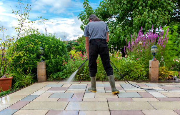 Best Roof Cleaning and Mildew Removal in Hudson, IA