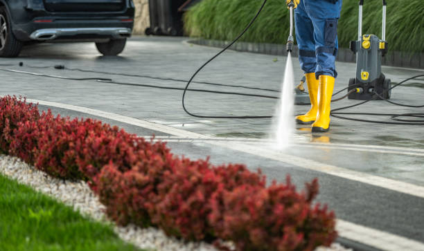 Best Driveway Cleaning and Restoration in Hudson, IA